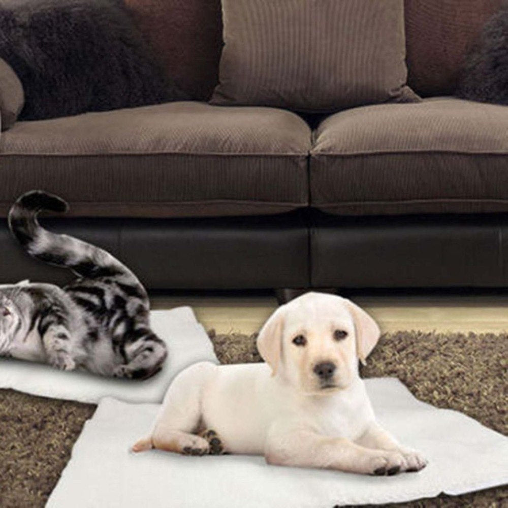Self Heating Pet Blanket