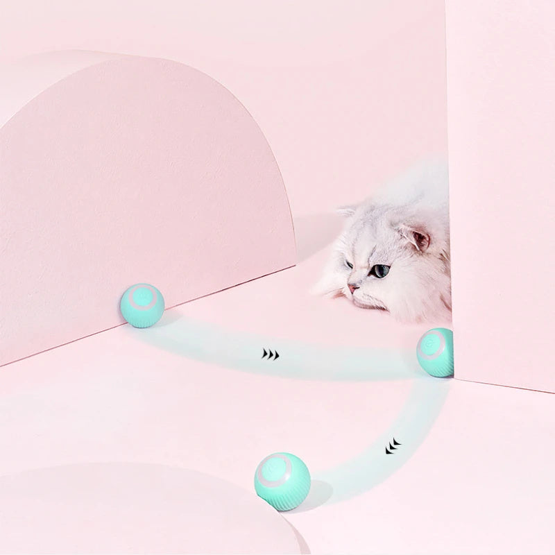 Remote Control Electric Cat Toy