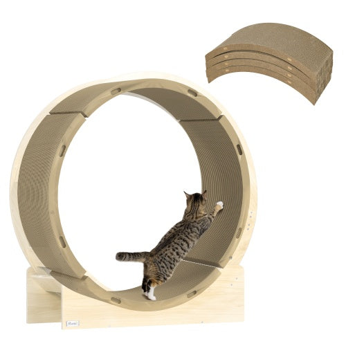 Cat Scratching Board