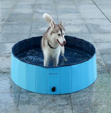 Dog Swimming Pool
