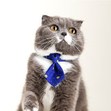 Dog Gentleman Tie