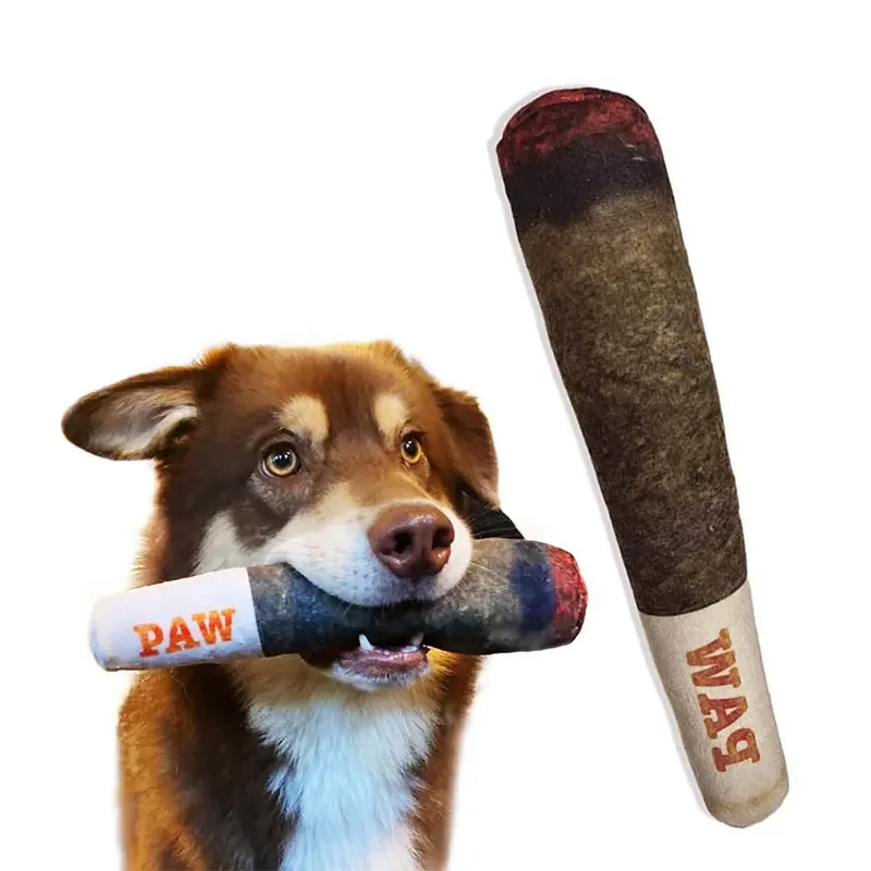 Plush Squeaky Toys for Medium, Small and Large - Cool Stuffed Cute Gifts for Dog Birthday Dog Joint Toys Funny Interactive