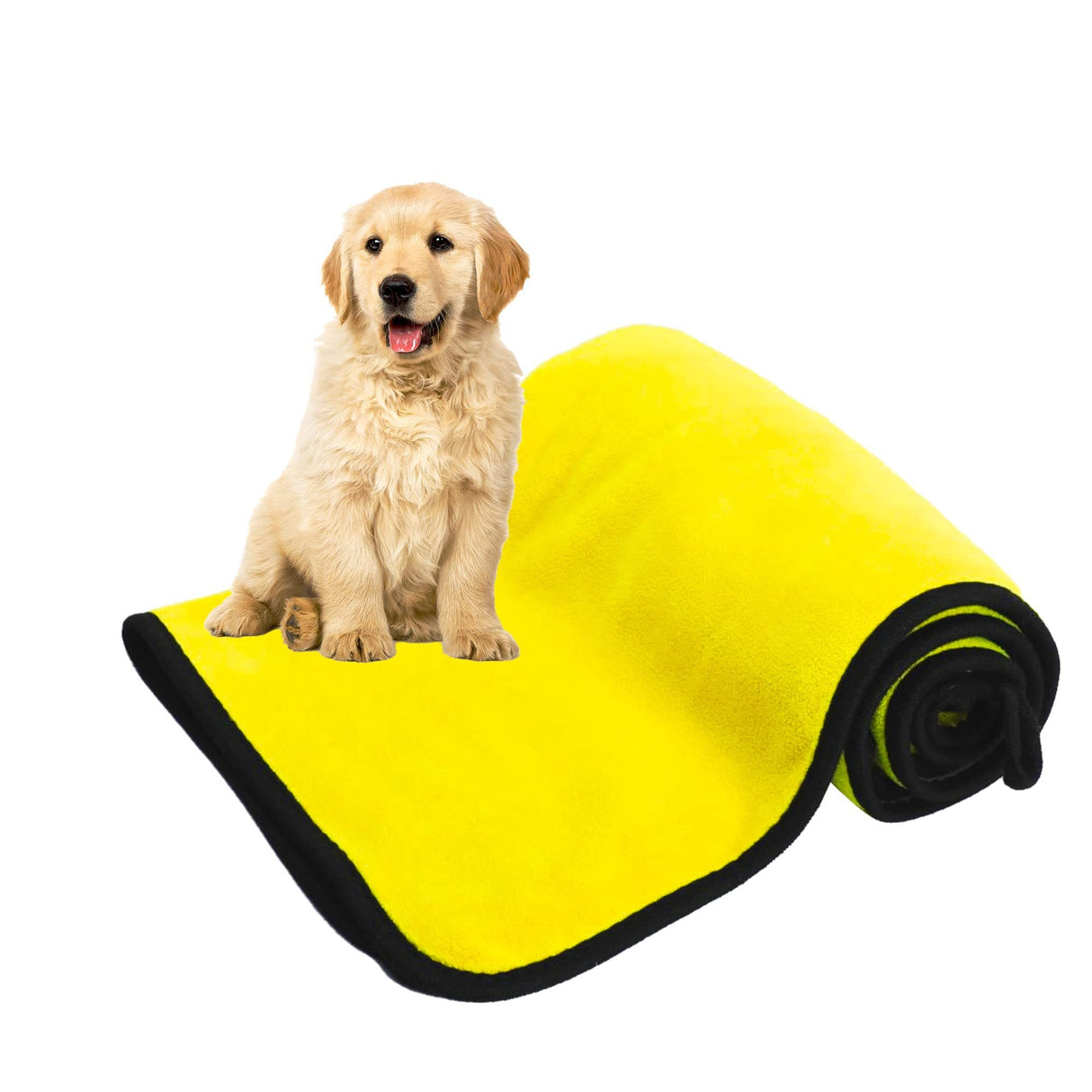 Dogs Drying Towel