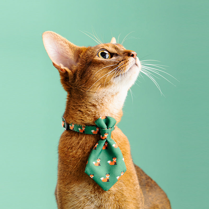 Dog Gentleman Tie
